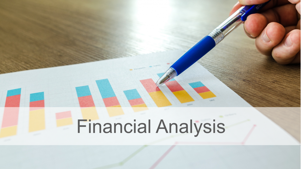 Financial Analysis